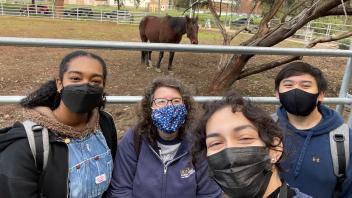 Selfie of students and a horse