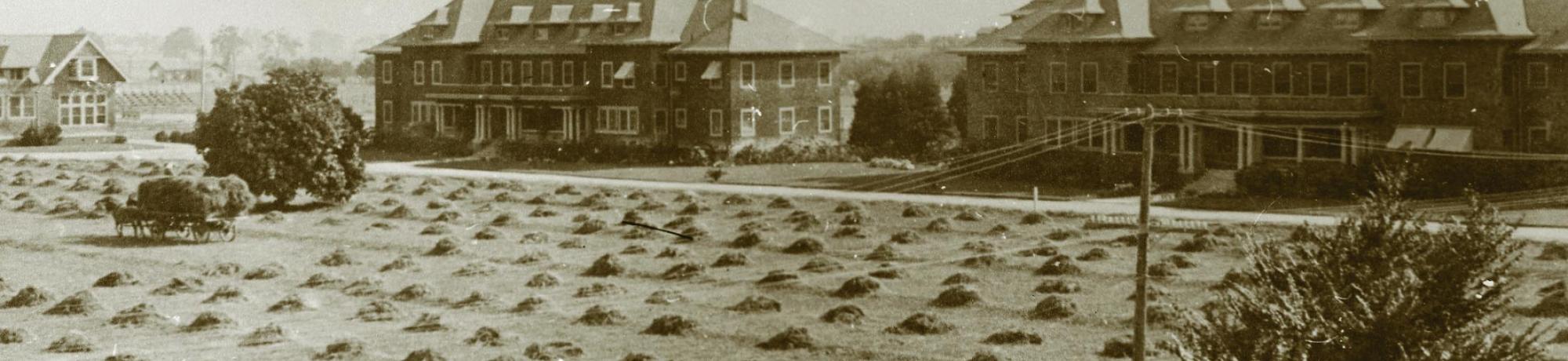 North and South Hall 
