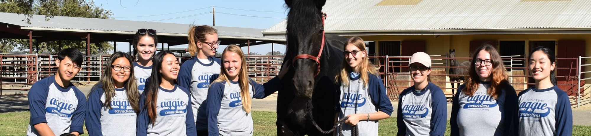 FYAC group with horse